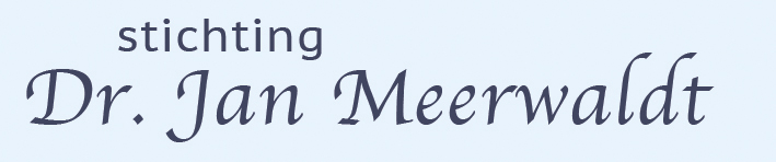 logo-meerwaldt